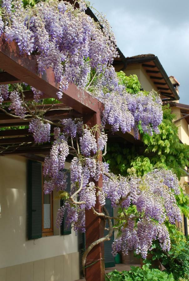 Casa Ai Pini Apartment Panzano in Chianti ภายนอก รูปภาพ