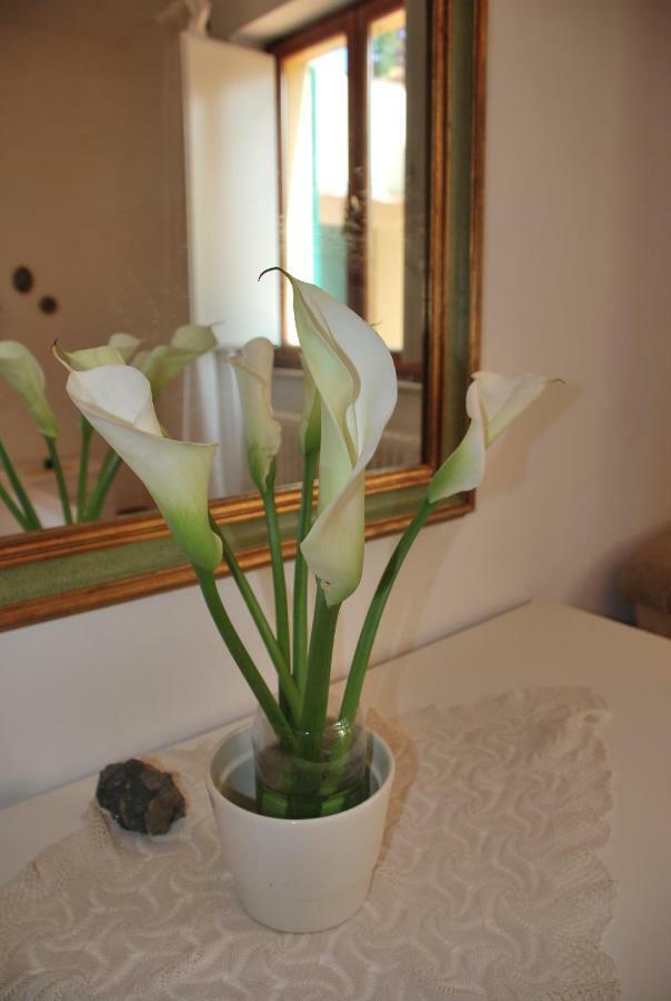 Casa Ai Pini Apartment Panzano in Chianti ภายนอก รูปภาพ
