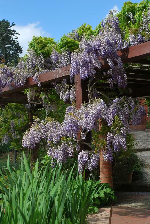 Casa Ai Pini Apartment Panzano in Chianti ภายนอก รูปภาพ